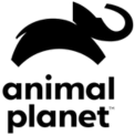 Camada-15.png.webp